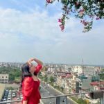 Thảo Linh